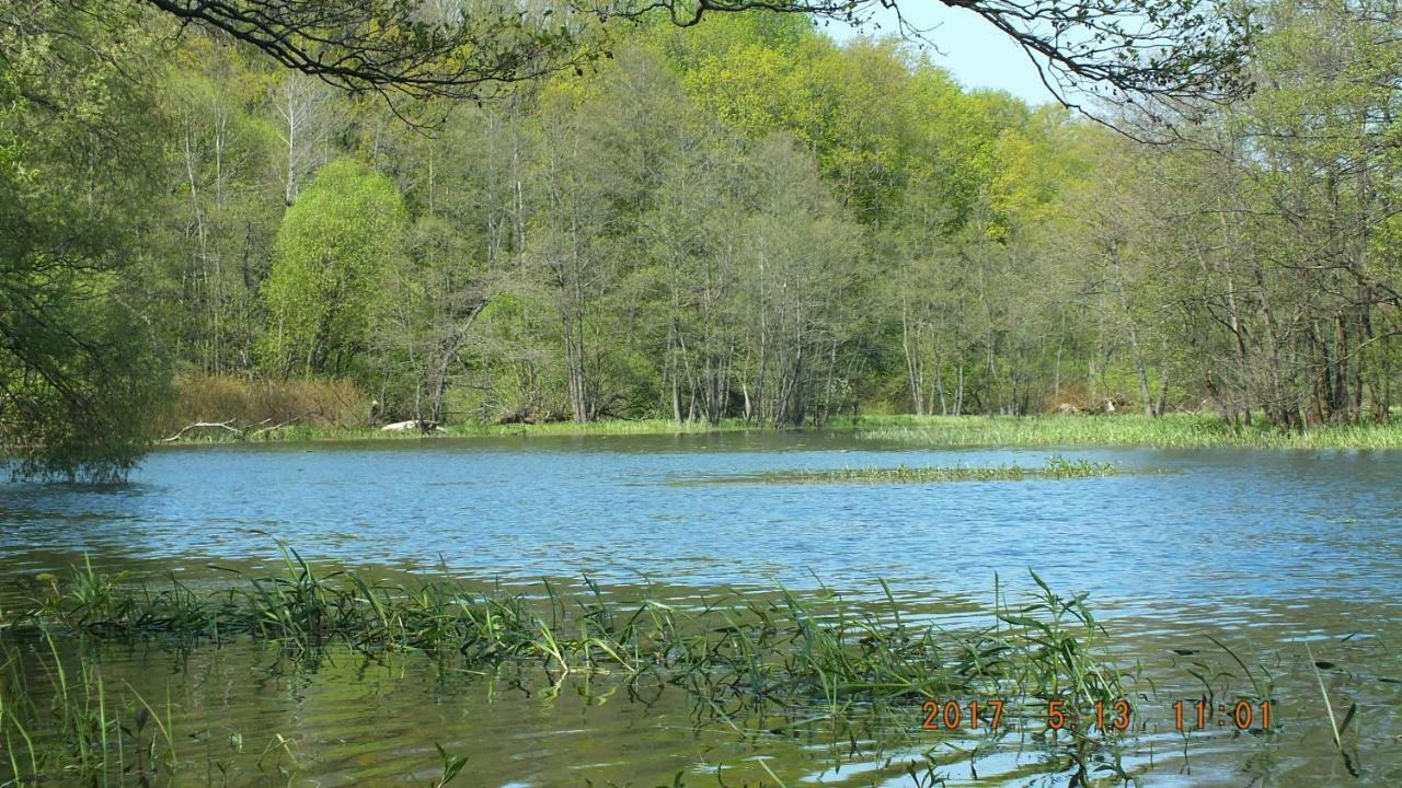 Kwatera na Bagnach Osowiec  Bagian luar foto