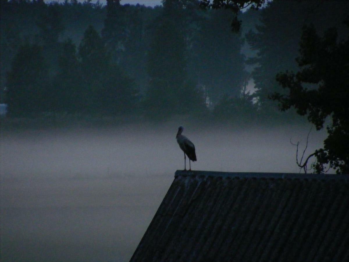 Kwatera na Bagnach Osowiec  Bagian luar foto