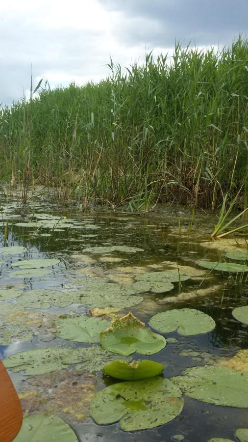 Kwatera na Bagnach Osowiec  Bagian luar foto